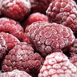 Rubushill otkup, prerada i izvoz maline
